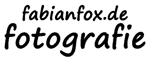 fabianfox.de Logo